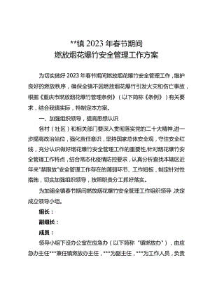 镇20xx年春节期间燃放烟花爆竹安全管理工作方案.docx