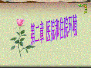 医院和住院环境.ppt.ppt