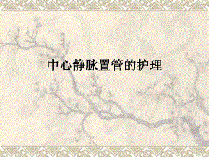 中心静脉置管的护理.ppt