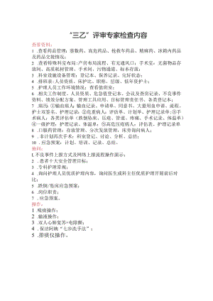 护理专家检查内容.docx