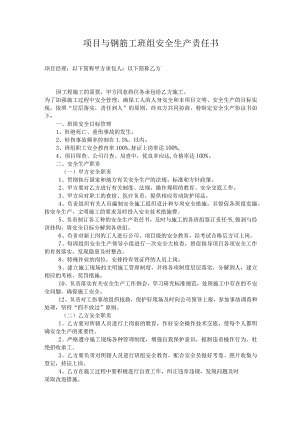项目与钢筋工班组安全生产责任书.docx