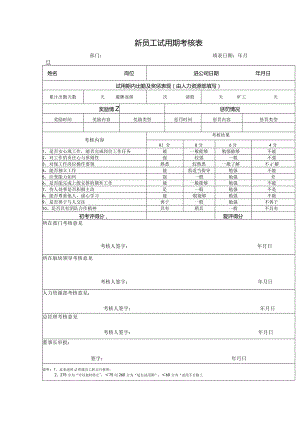 新员工试用期考核表.docx