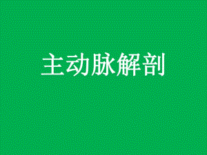 主动脉的解剖.ppt