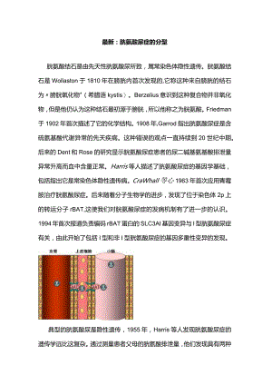 最新：胱氨酸尿症的分型.docx