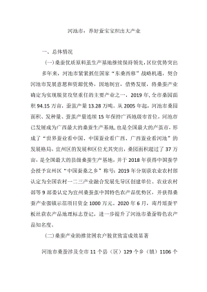 河池市：养好蚕宝宝织出大产业.docx