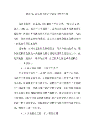 贺州市：凝心聚力壮产业奋发攻坚奔小康.docx