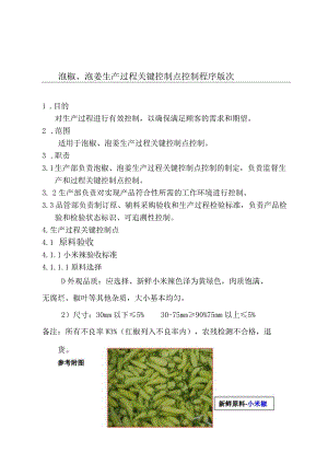 泡椒泡姜关键控制程序.docx