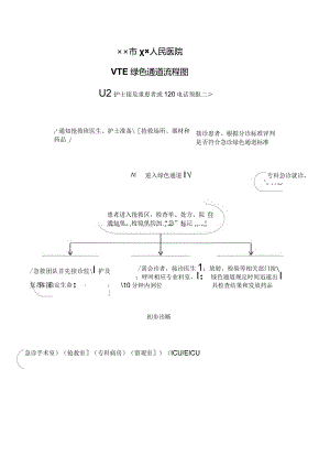 VTE绿色通道流程图.docx