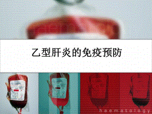 乙肝免疫预防培训.ppt