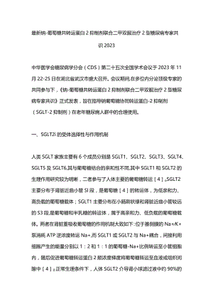 最新钠-葡萄糖共转运蛋白2抑制剂联合二甲双胍治疗2型糖尿病专家共识2023.docx