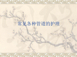 各种管道护理精要.ppt