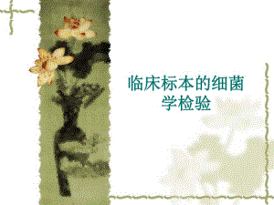 临床标本的细菌学检验.ppt