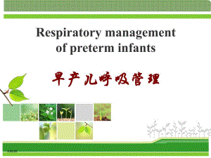 医院早产儿呼吸道管理3.ppt