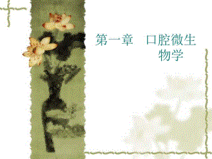 口腔微生物学.ppt