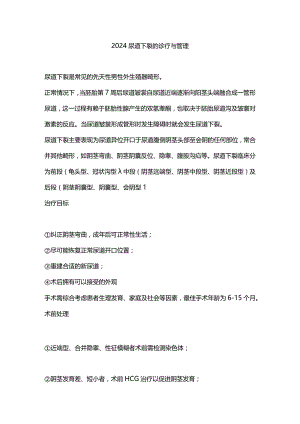2024尿道下裂的诊疗与管理.docx