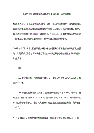 2023年29条建议总结狼疮肾炎的诊断、治疗与随访.docx