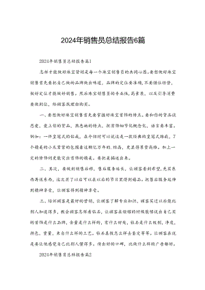 2024年销售员总结报告6篇.docx