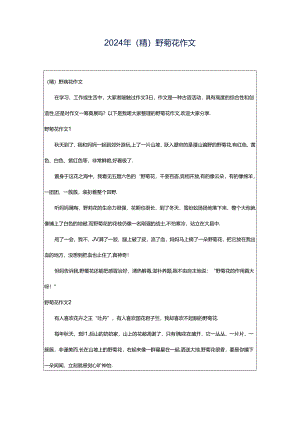 2024年（精）野菊花作文.docx