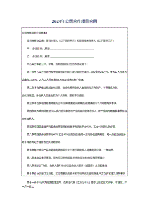 2024年公司合作项目合同.docx
