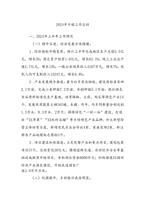 2024年乡镇工作总结.docx