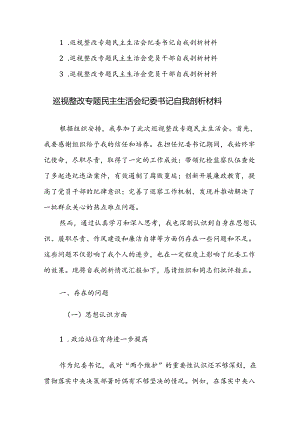 2024年巡视整改专题民主生活会纪委书记自我剖析材料范文3篇.docx