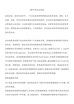 ERP中的企业预算（DOC12页）.docx
