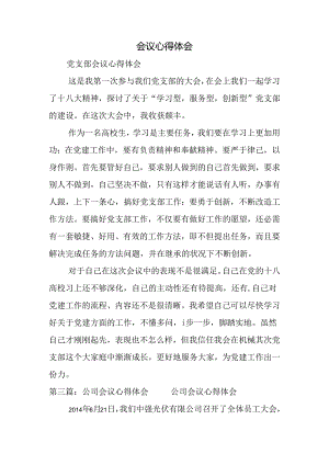 会议心得体会.docx