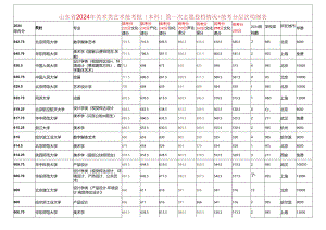 2024年美术本科批投档情况表（彩色版）.docx