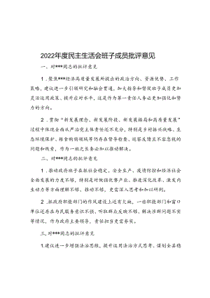 2022年度民主生活会班子成员批评意见.docx