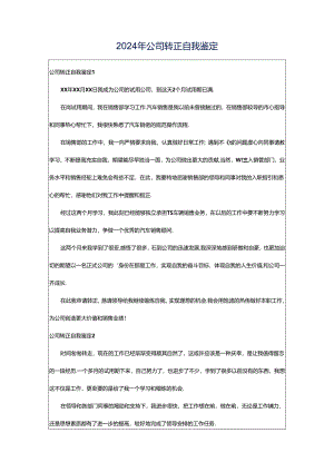 2024年公司转正自我鉴定.docx
