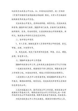 (2篇)镇2023年政务公开工作总结及2024年工作思路.docx