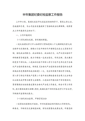 2024年上半年纪检监察工作报告（集团纪委）.docx