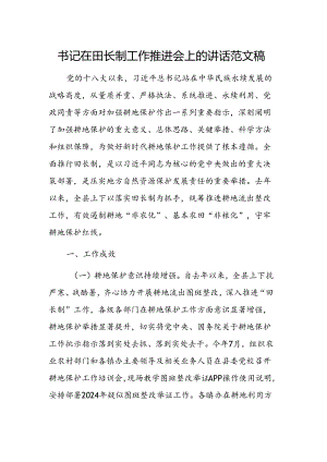 书记在田长制工作推进会上的讲话范文稿.docx