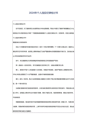 2024年个人违反纪律检讨书.docx