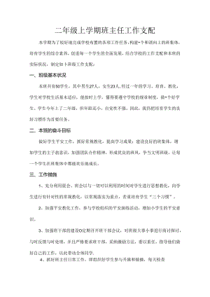 二年级班主任计划.docx