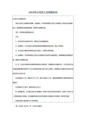 2024年公司员工试用期合同.docx