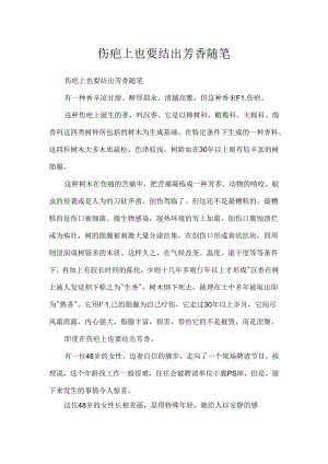 伤疤上也要结出芳香随笔.docx