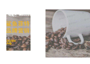 2024鲨鱼菲特品牌营销拆解报告.docx