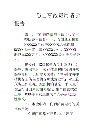 伤亡事故费用请示报告.docx