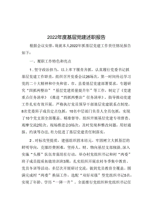2022年度基层党建述职报告.docx