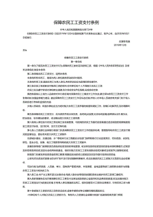 保障农民工工资支付条例.docx