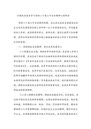 乡镇政法委员学习党的二十届三中全会精神心得体会.docx