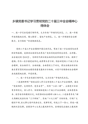 乡镇党委书记学习贯彻党的二十届三中全会精神心得体会7篇.docx