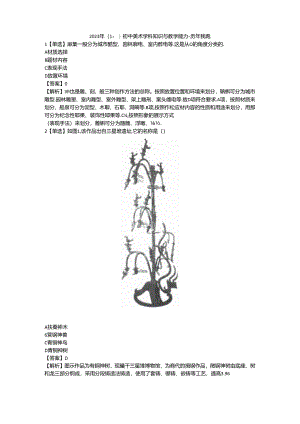 2023年教资（上）初中美术学科知识与教学能力-历年真题及答案解析.docx