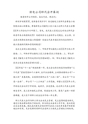 供电公司职代会开幕词.docx