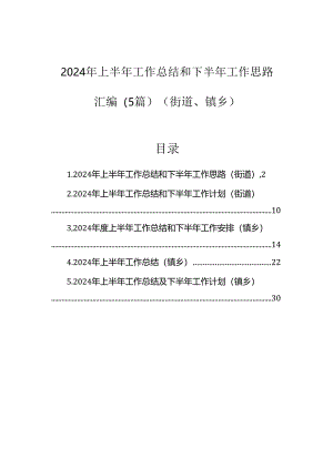 2024年上半年工作总结和下半年工作思路（乡镇、街道）（5篇）.docx