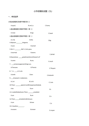 2024小升初模拟试题（九）5页（含答案）.docx