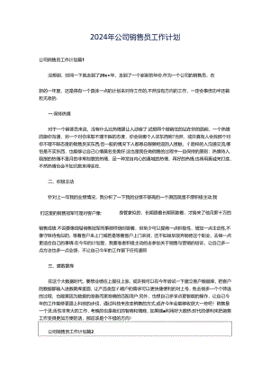 2024年公司销售员工作计划.docx