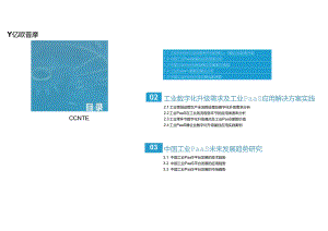2024中国工业PaaS应用洞察报告.docx