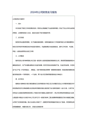 2024年公司财务实习报告.docx
